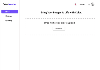 Color Mender- Image Colorization UI Design